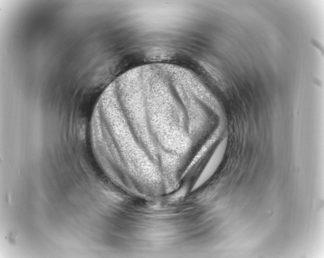 X0000093260315200710241338