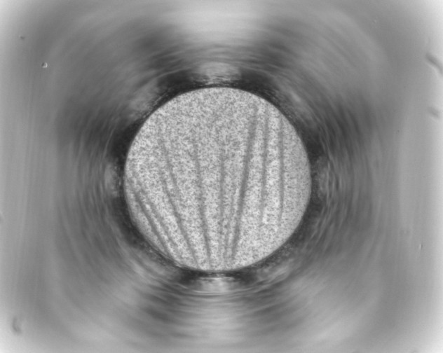 X0000093260316200710241338