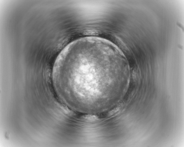 X0000093260322200710241338