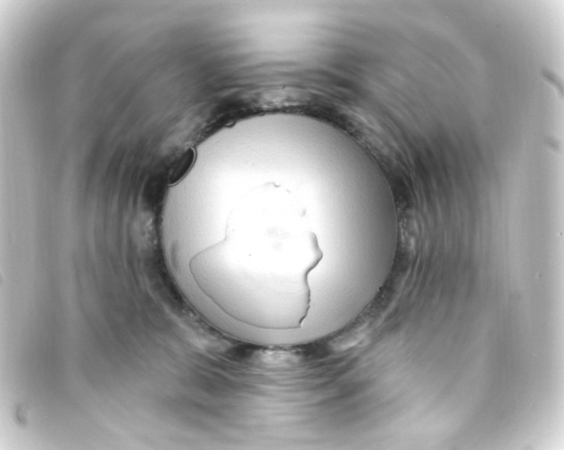 X0000093260327200710241338
