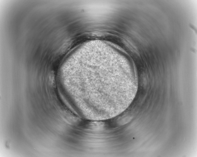 X0000093260328200710241338