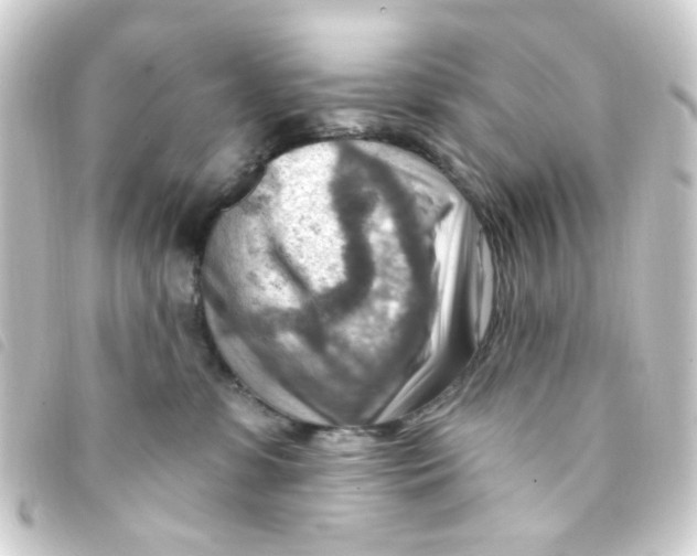 X0000093260331200710241338