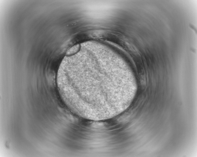 X0000093260332200710241338