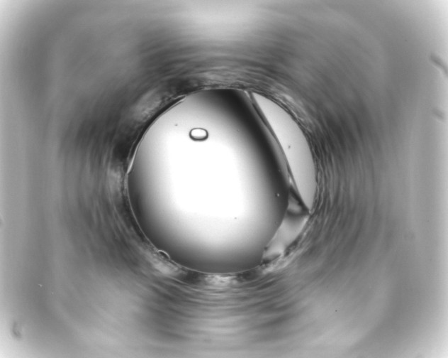 X0000093260333200710241338