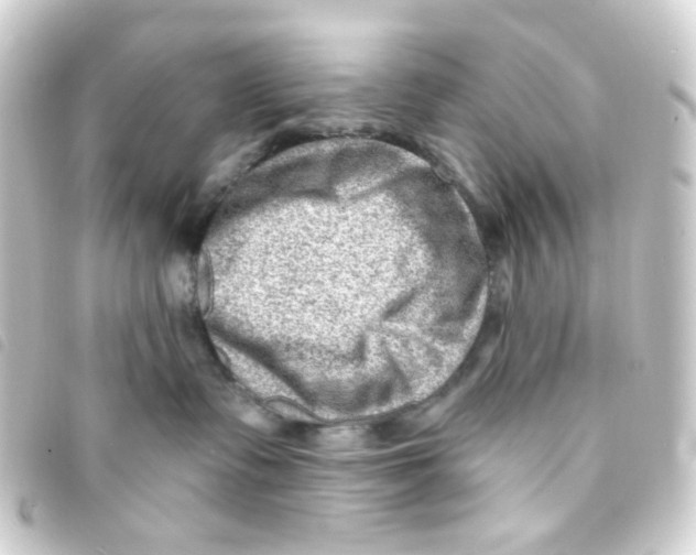 X0000093260335200710241338