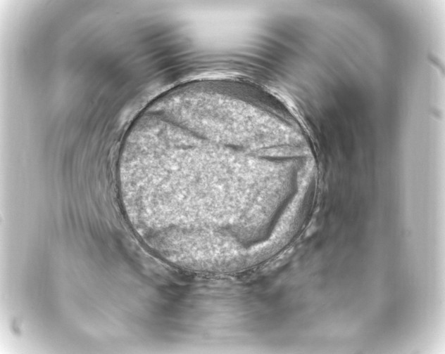 X0000093260337200710241337