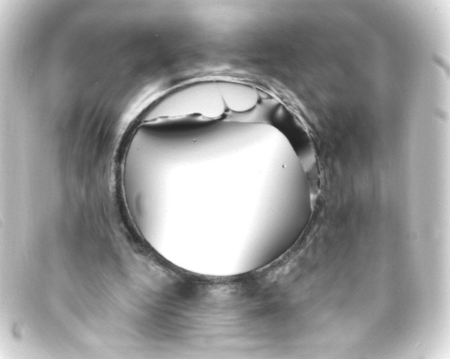 X0000093260344200710241337