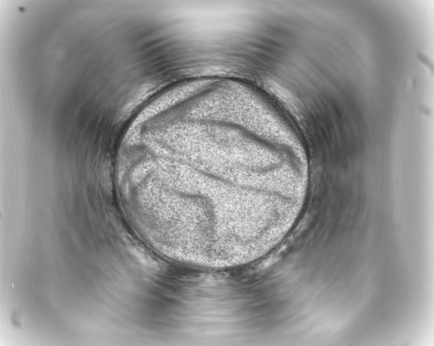 X0000093260345200710241337