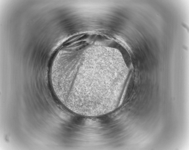 X0000093260346200710241337