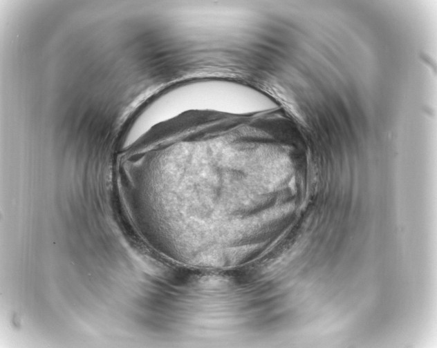 X0000093260348200710241337