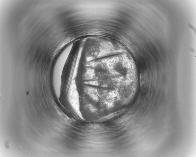 X0000093260349200710241337