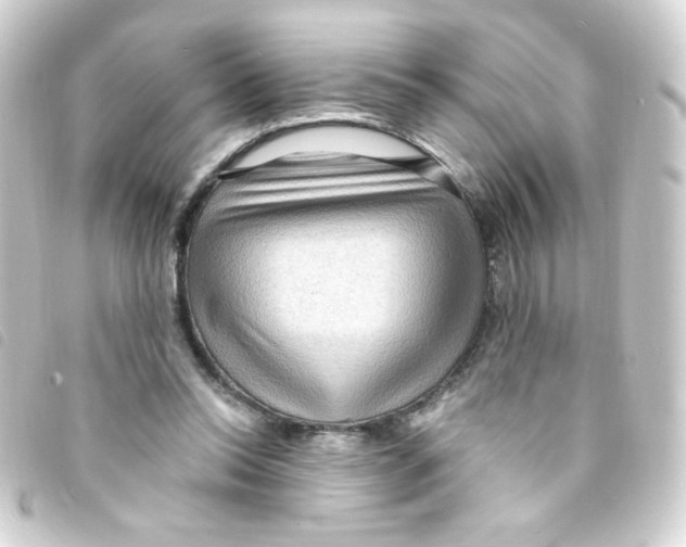 X0000093260350200710241337