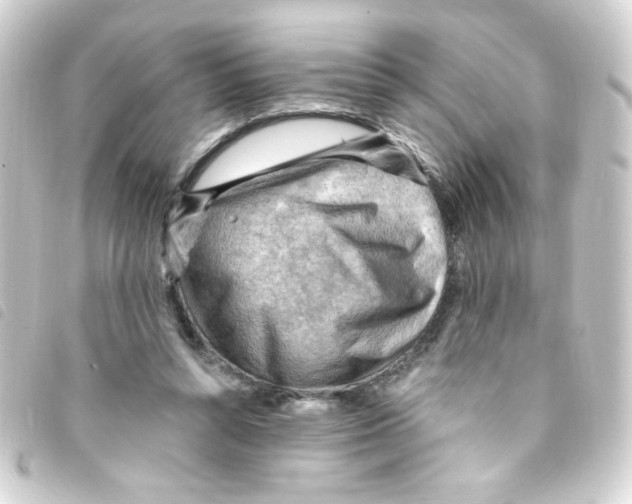 X0000093260352200710241337