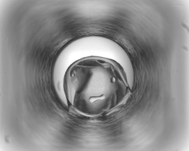 X0000093260360200710241338