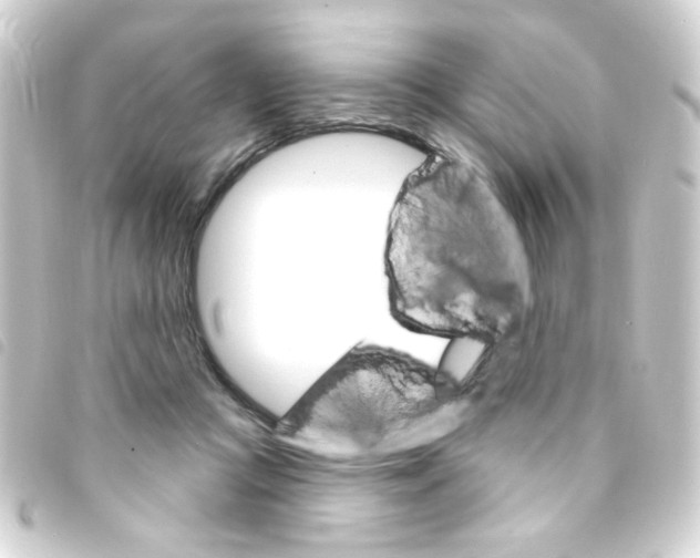 X0000093260361200710241338