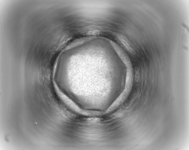 X0000093260363200710241338