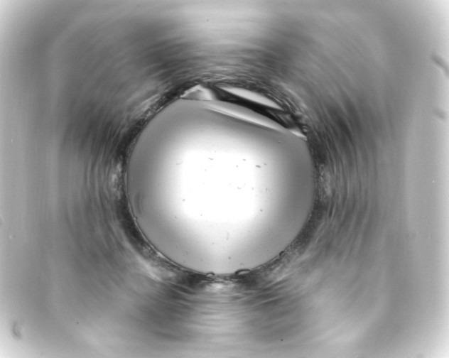 X0000093260364200710241338