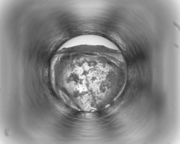 X0000093260365200710241338