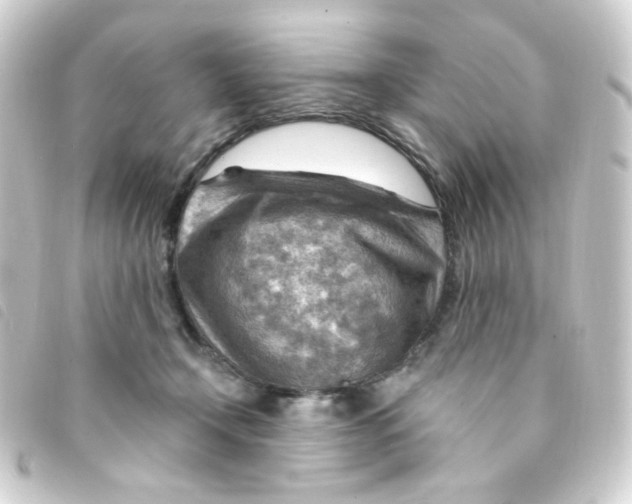 X0000093260366200710241338