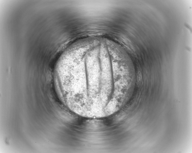 X0000093260367200710241338