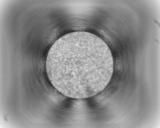 X0000093260370200710241338