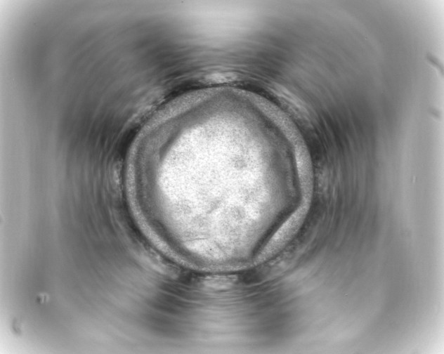 X0000093260373200710241338