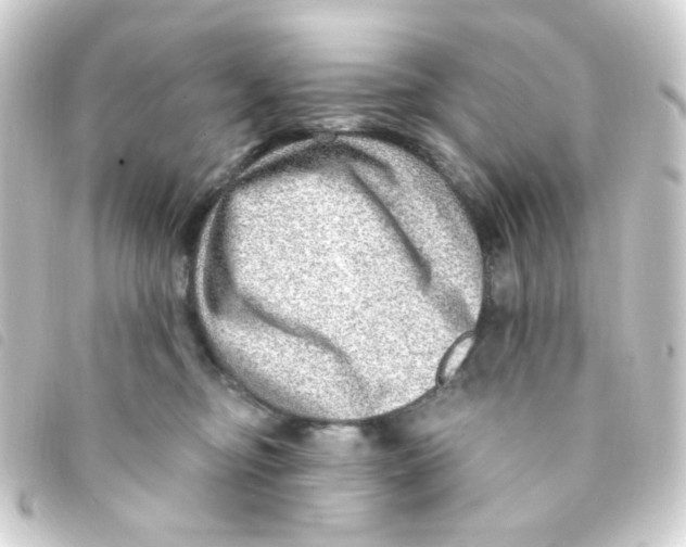X0000093260374200710241338