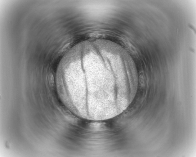 X0000093260375200710241338