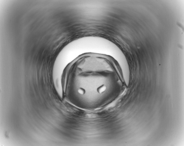 X0000093260376200710241338