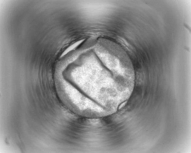 X0000093260377200710241338
