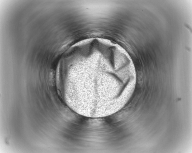 X0000093260378200710241338
