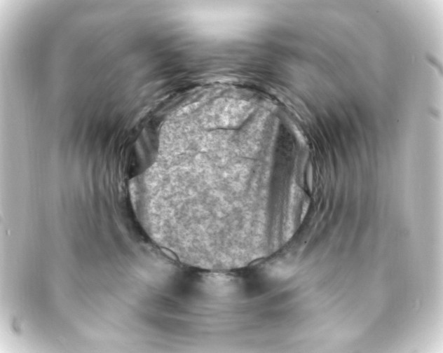 X0000093260380200710241338