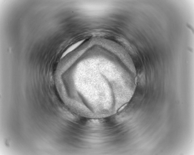 X0000093260381200710241338