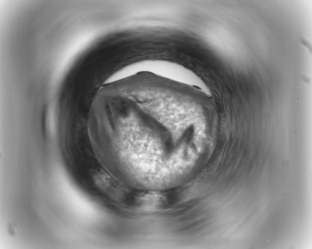 X0000093260383200710241338