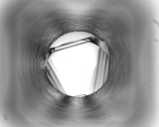 X0000093260384200710241338