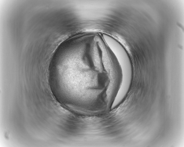 X0000093260385200710241337