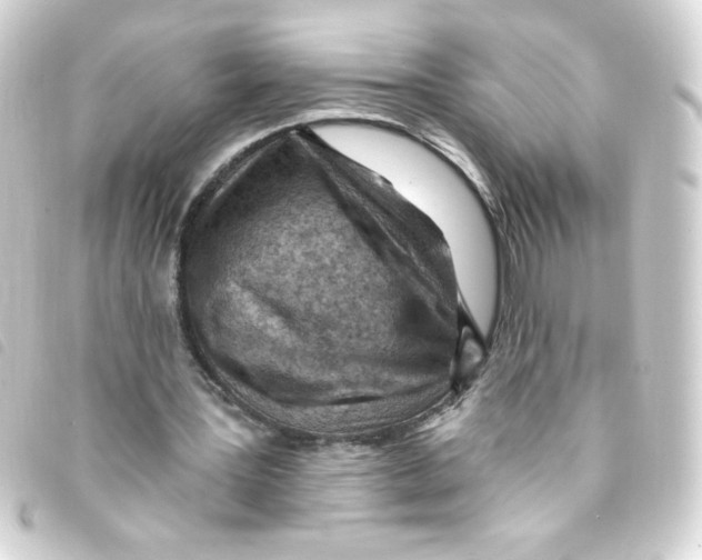 X0000093260387200710241337