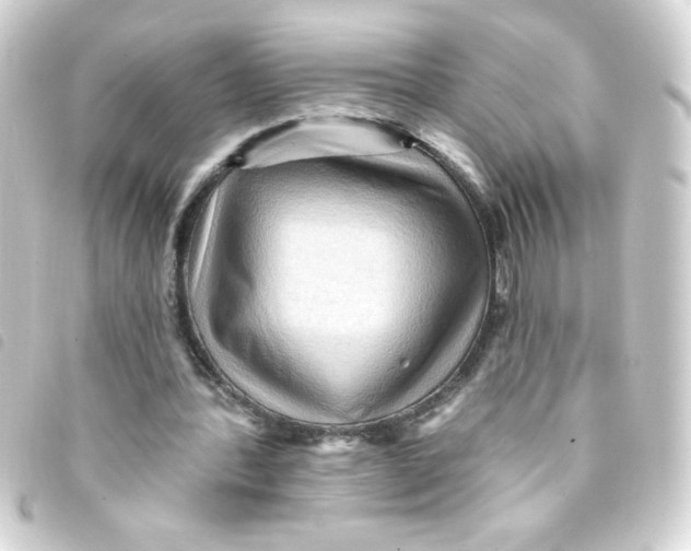 X0000093260388200710241337