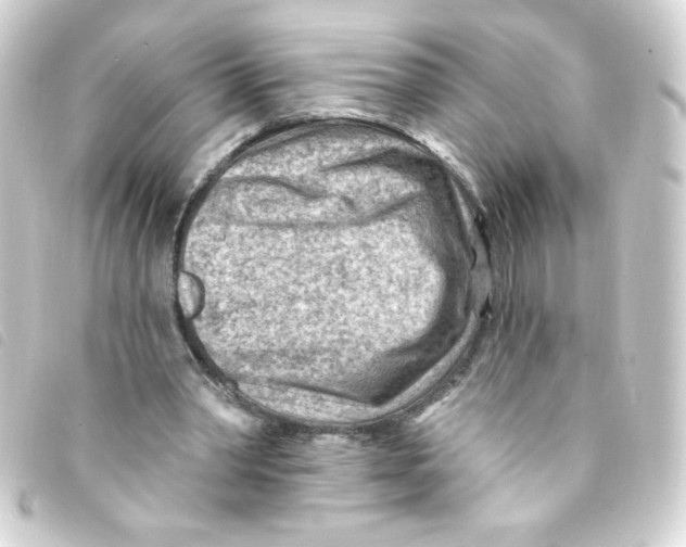 X0000093260390200710241337