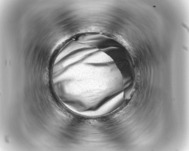 X0000093260392200710241337