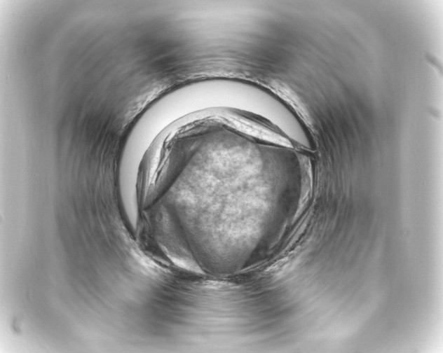 X0000093260393200710241337