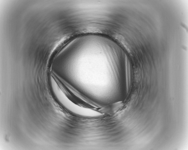 X0000093260395200710241337