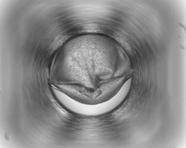X0000093260397200710241337