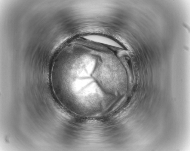 X0000093260399200710241337