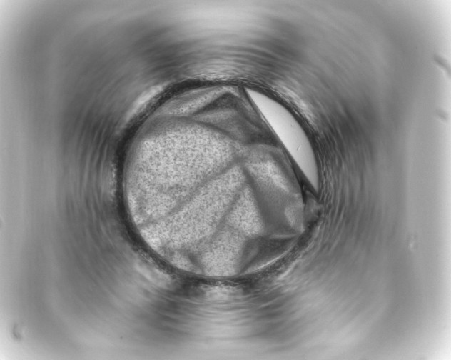 X0000093260400200710241337