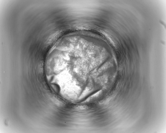 X0000093260402200710241337