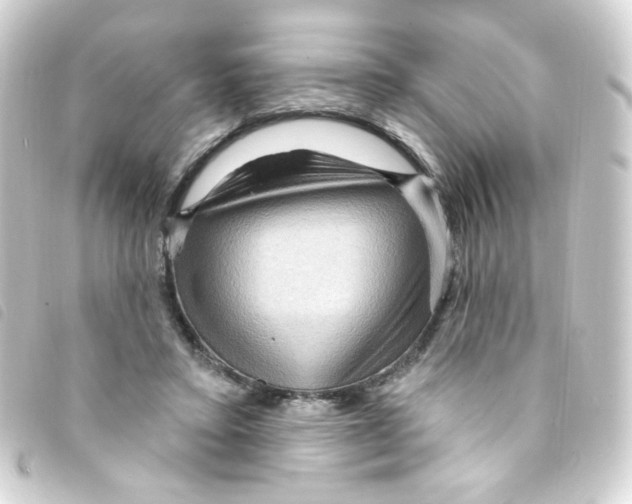X0000093260403200710241337