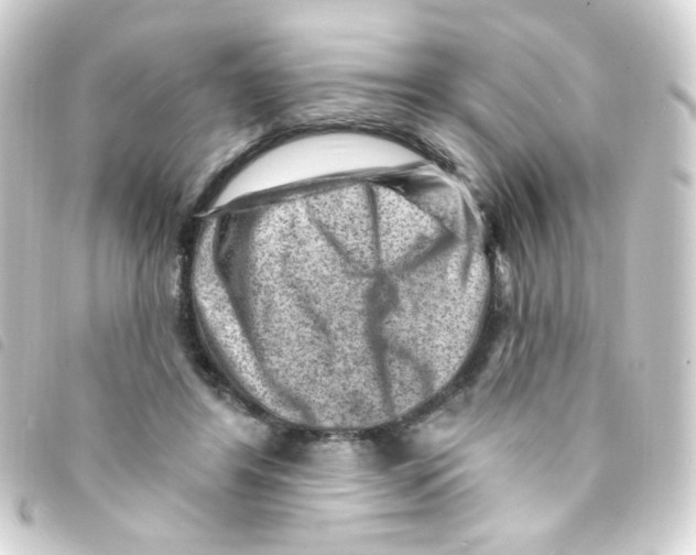 X0000093260404200710241337