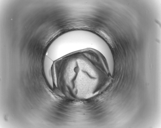 X0000093260405200710241337