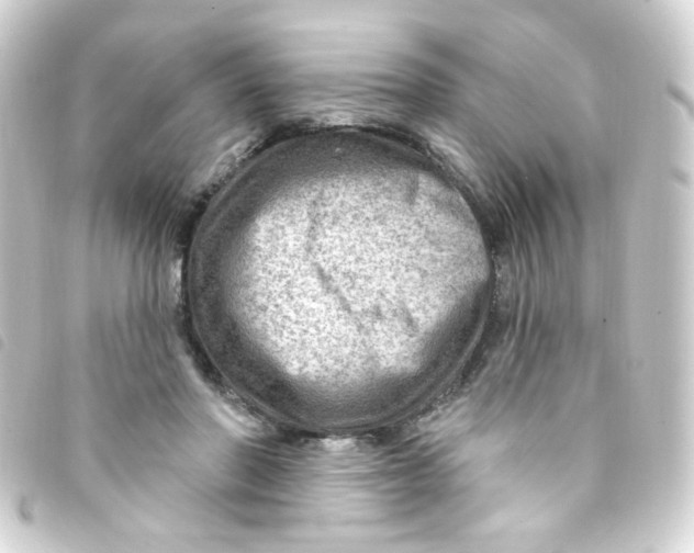 X0000093260406200710241337